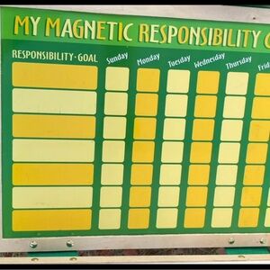 Melissa and Doug responsibility board
